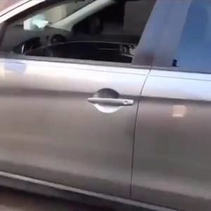 Meet your Posher, Wyatt